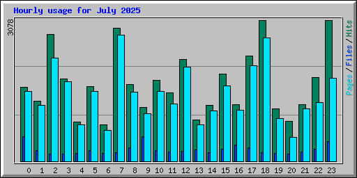 Hourly usage for July 2025